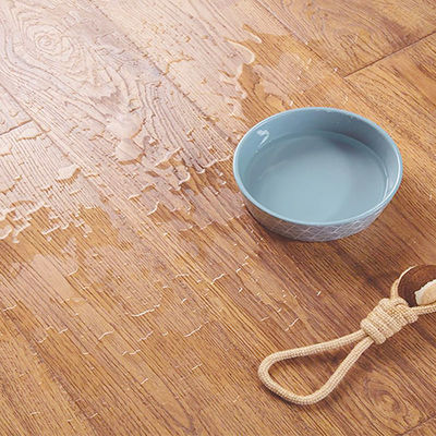 Revestimento impermeável do vinil do PVC SPC para 3.2mm-8.0mm residenciais